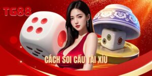 cach-soi-cau-tai-xiu