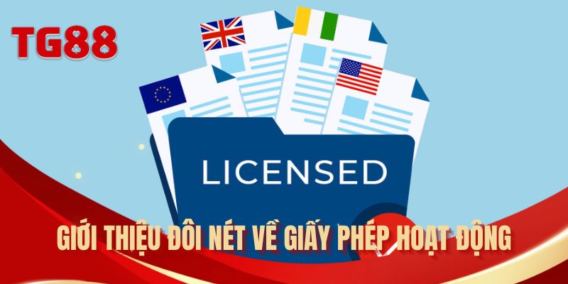 Giới thiệu đôi nét về giấy phép hoạt động